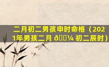 二月初二男孩申时命格（2021年男孩二月 🐼 初二辰时）